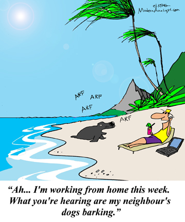 Humor - Cartoon: The Telecommuting Business Analyst # 1